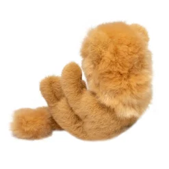 Wildlife<Douglas Toys Lil' Baby Lion