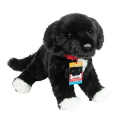 Dogs<Douglas Toys Olive Black Lab / Pit Bull Mix Rescue Pup